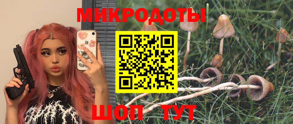 Изобильный  Псилоцибиновые грибы MAGIC MUSHROOMS  Вход с VPN 